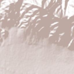 La Estancita Terrain Map