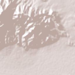 Punta de la Vega Terrain Map