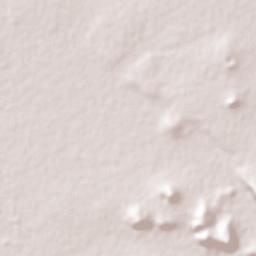 Guadalupe de Rivera Terrain Map