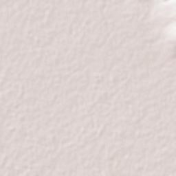 San Isidro de la Concepción Terrain Map