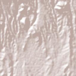 El Bingú Terrain Map