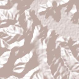 Metztitlán Terrain Map