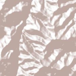 Tlachichilco Terrain Map