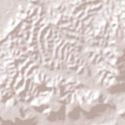Miguel Hidalgo Terrain Map