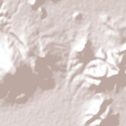 Nicolás R Casillas Terrain Map