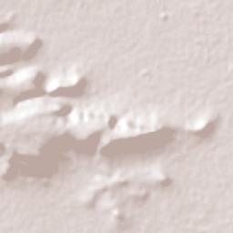 Tototlán Terrain Map