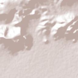 La Nopalera Terrain Map