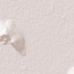 Valtierrilla Terrain Map