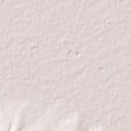 La Palmita (La Palmita de San Gabriel) Terrain Map