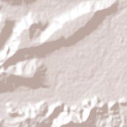 Ricardo Flores Magón Terrain Map