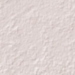 Calkiní Terrain Map