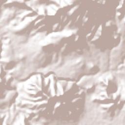 Guayabitos Terrain Map