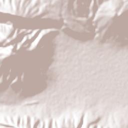 El Platanar Terrain Map