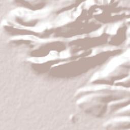 Santa Rita Terrain Map