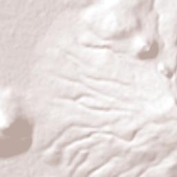 El Huizache Terrain Map