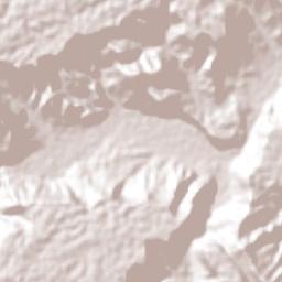 Coronel Tito Hernández Terrain Map