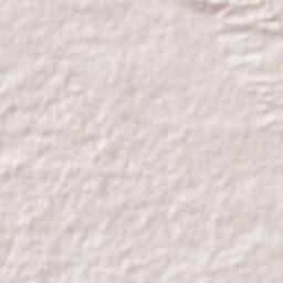 Santa Elena Terrain Map