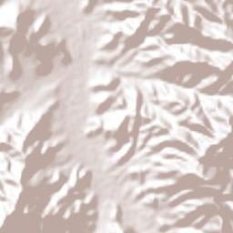 Talpa de Allende Terrain Map