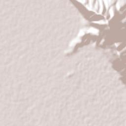 General Andrés Figueroa Terrain Map