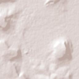 Santa Ana Pacueco Terrain Map