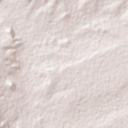 Lagunilla Terrain Map