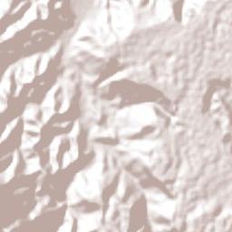 Gilberto Camacho Terrain Map