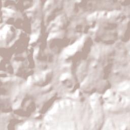 Soyatlán del Oro Terrain Map