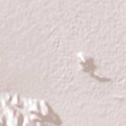 Zacoalco de Torres Terrain Map