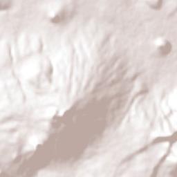 Jícamas Terrain Map