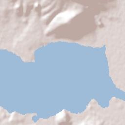 La Angostura Terrain Map