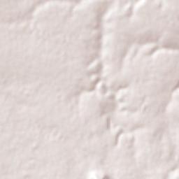 Llano Largo Terrain Map