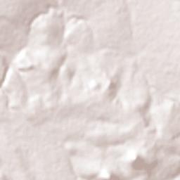 San Sebastián Tenochtitlán Terrain Map