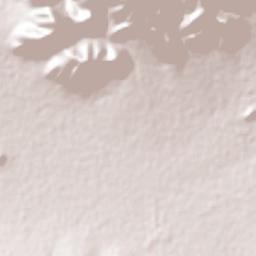 Dengantzha Terrain Map