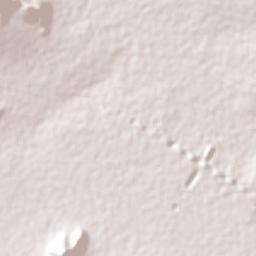 Santa María Amajac Terrain Map