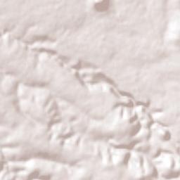 Polotitlán Terrain Map
