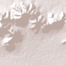 San Juan Tepa Terrain Map