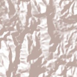 Rancho Alegre Terrain Map