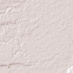 San Rafael Terrain Map