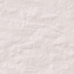 Chandrapur Terrain Map