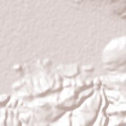 Tuxcueca Terrain Map