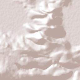 Sahuayo Terrain Map