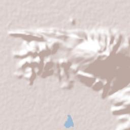 El Platanal Terrain Map