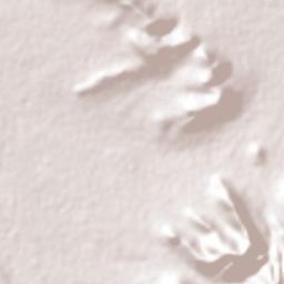 Tezoquipa Terrain Map