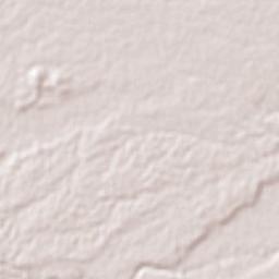 San Pedro Tlapacoyan Terrain Map