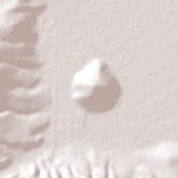 Francisco Sarabia (Cerrito Pelón) Terrain Map