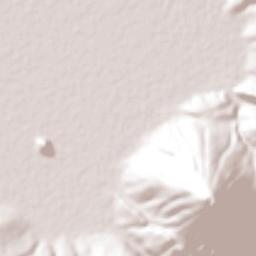 Tizapán el Alto Terrain Map