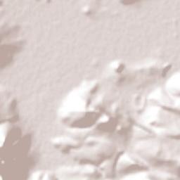 Chavinda Terrain Map