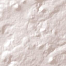 San Vicente (Calpulalpan Tercera Manzana) Terrain Map