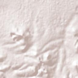 Unidad Habitacional Antonio Osorio de León (Bojay) Terrain Map