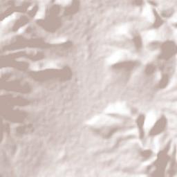 Oriental de Zapata Terrain Map